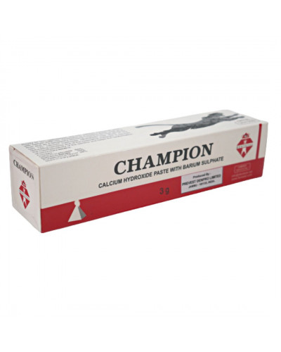 Champion, шприц 3 г, засіб для лікування зубів, Dentstal